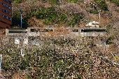 ruin01002007.jpg