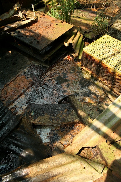 ruin01115001.jpg